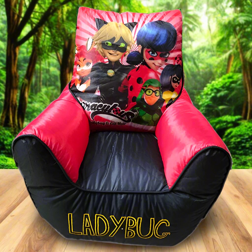 lady bug bean bag