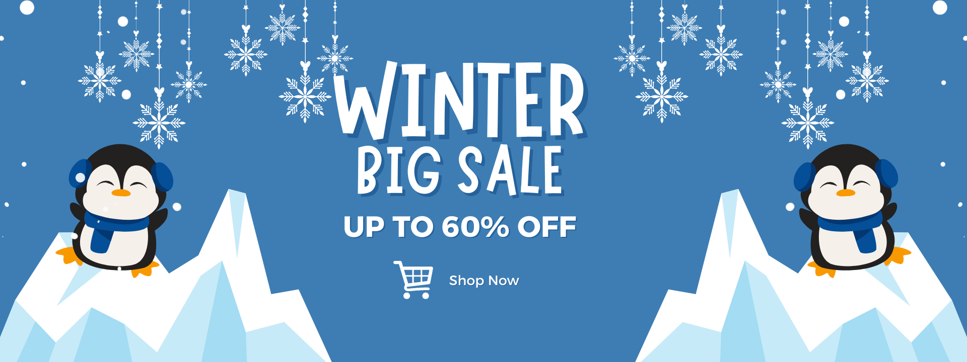 winter big sale 2025